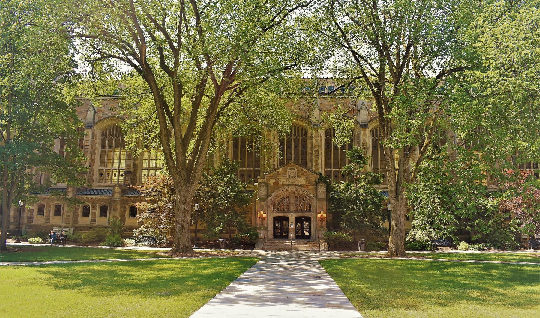 Close to the center of everything a large building with trees in front of it