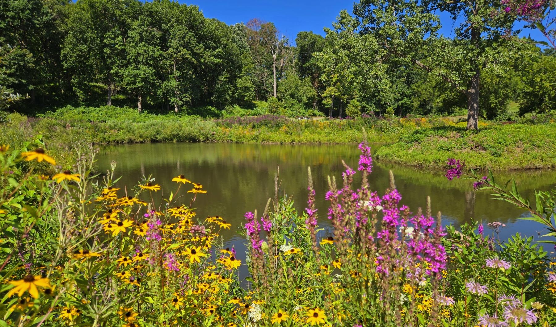 A beautiful community at the heart of all your passions a pond surrounded by flowers